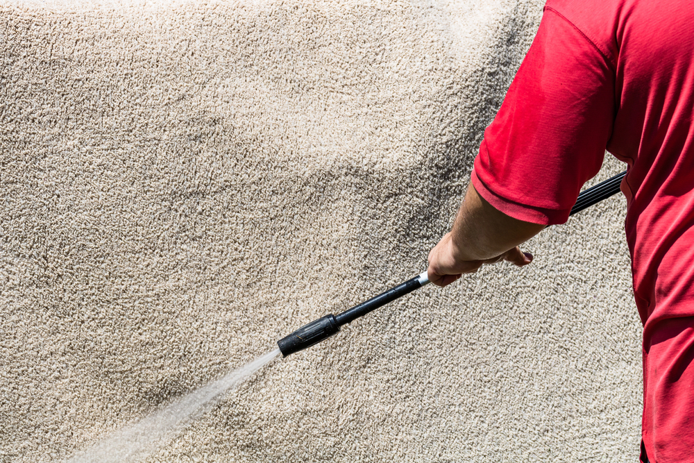 Steam Carpet Cleaning in Edison NJ